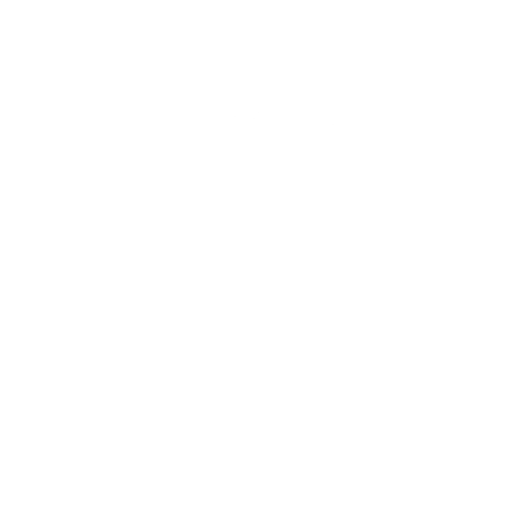 Fridays For Future Magyarország logó